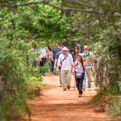 Parque Arvi (Tour Privado )