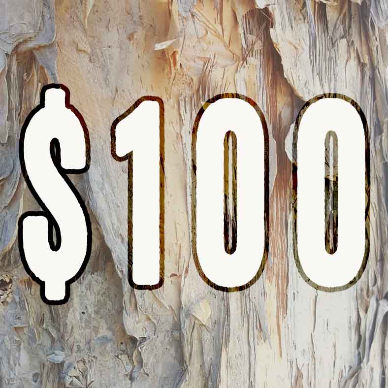 $100 Dollar Amount Gift Voucher