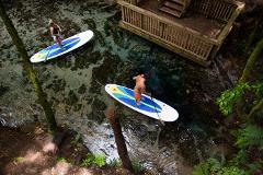 Paddleboarding - Hamurana Springs