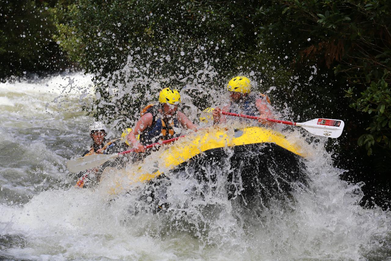 Rangitaiki River - Grade 4