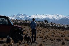 The Muster Experience