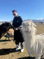 Twizel Petting Zoo