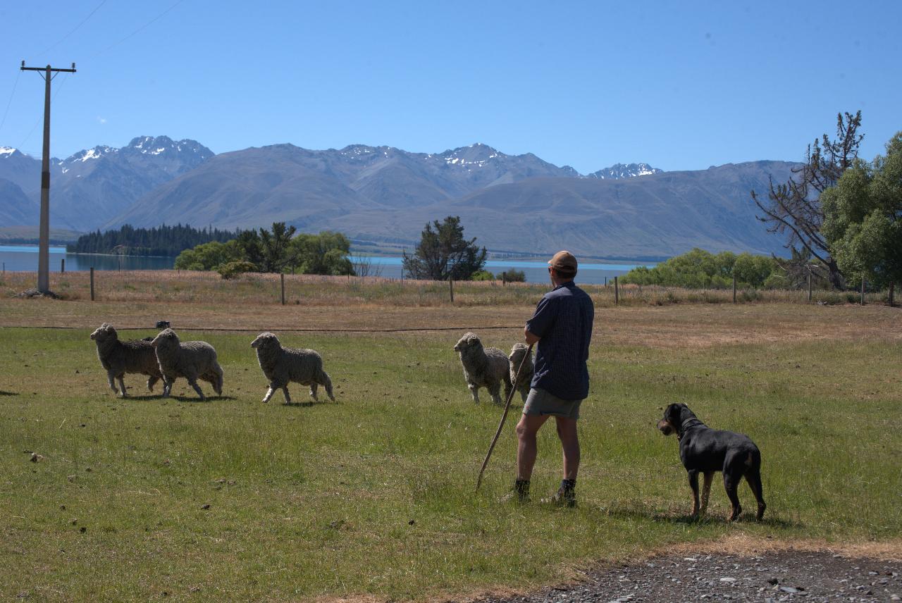 Mt.Hay Farm Experience