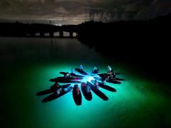 Shellharbour Village Harbour Night SUP