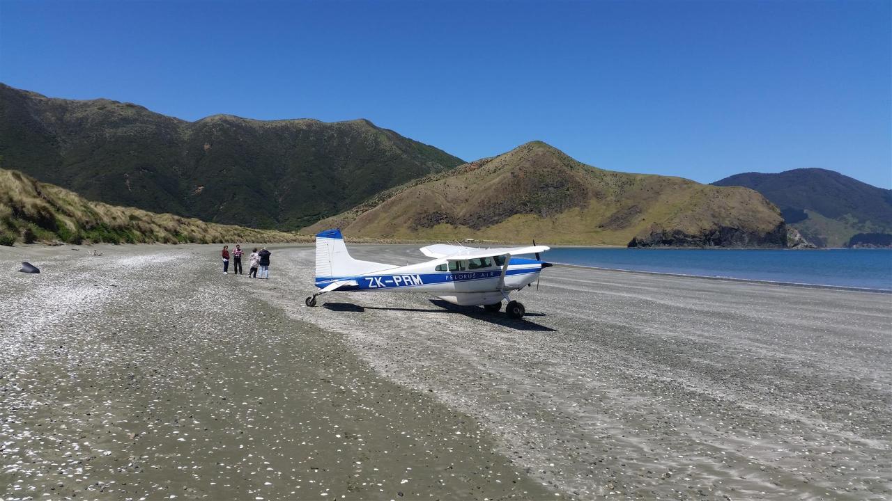 Water and Wilderness Scenic Tour
