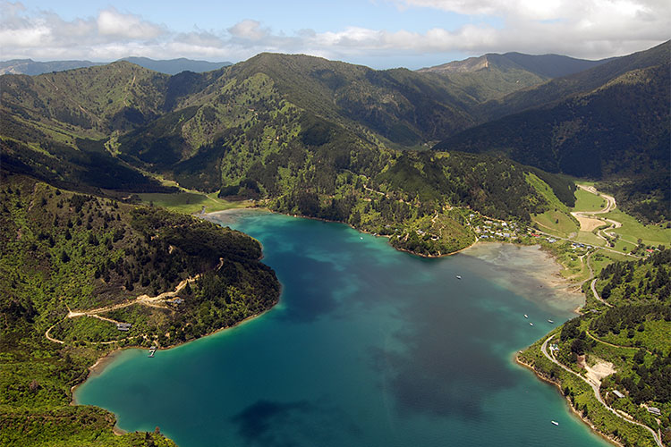 Bays and Bush Scenic Tour