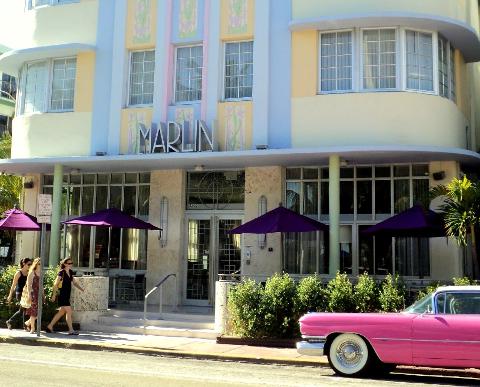 Visit Miami: Half Day Private Driving Tour