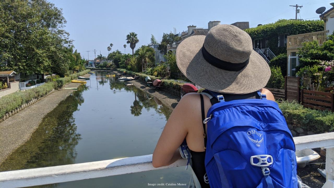 Visit Venice Beach Neighbourhood: Private 2-hour Walking Tour