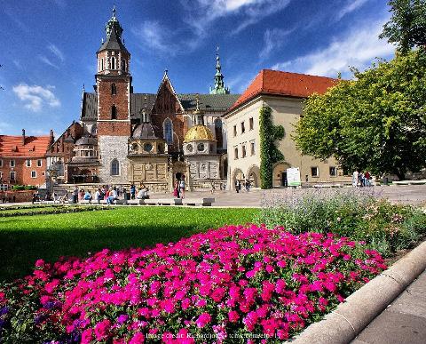 Private Walking Tour of Krakow: Wawel Castle, Old Town, and St Mary's Basilica