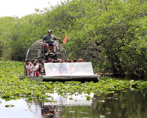 Private Miami Everglades Airboat Expedition
