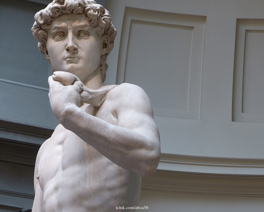 Explore Florence Highlights including the 'David': Private Tour