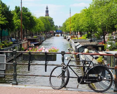 Best of Amsterdam in a Full Day with Tickets Included