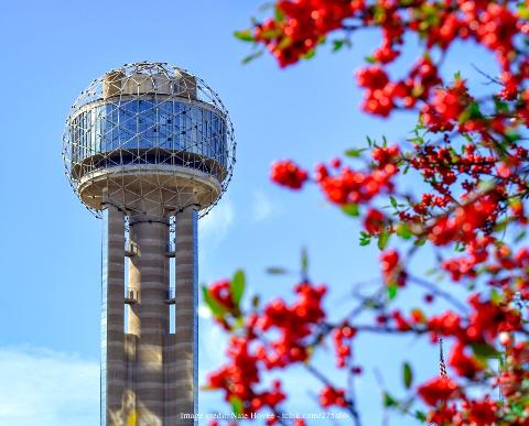 The Best of Dallas: Private Half-Day Tour including Reunion Tower