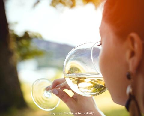 Private Wine Tasting Excursion in Napa Valley