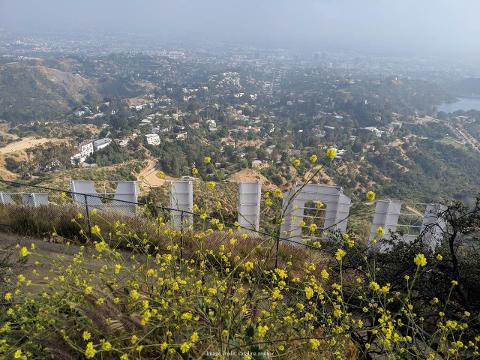 Private Hike to Hollywood Sign, via Three Peaks