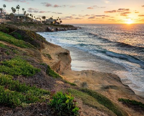 Private Driving Tour of San Diego's Beaches