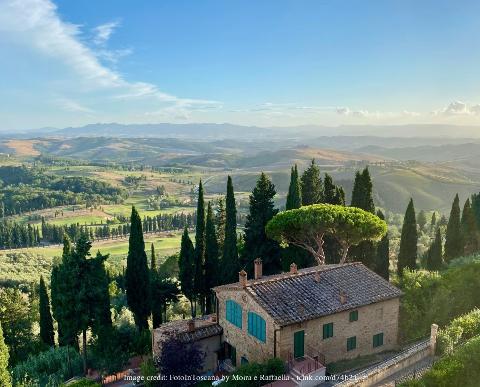 Private Wine Tour of Chianti & San Gimignano from Florence