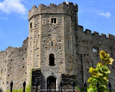 Welcome to Cardiff: Private Half-Day Walking Tour