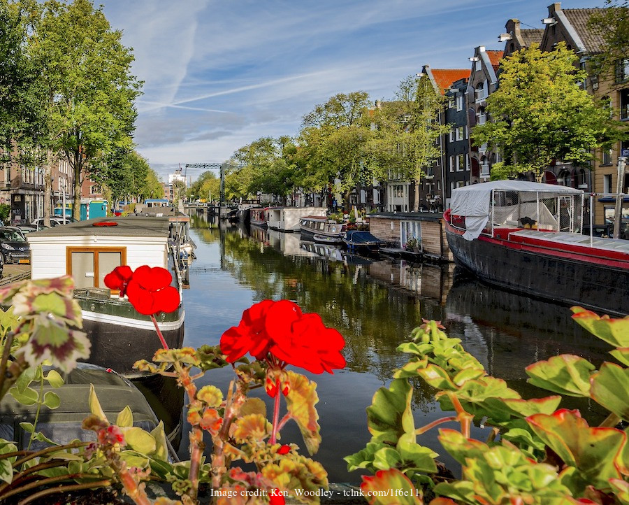 Welcome to Amsterdam: Private Half-Day Walking Tour