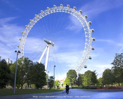 London in a Day: Private Walking Tour including the London Eye