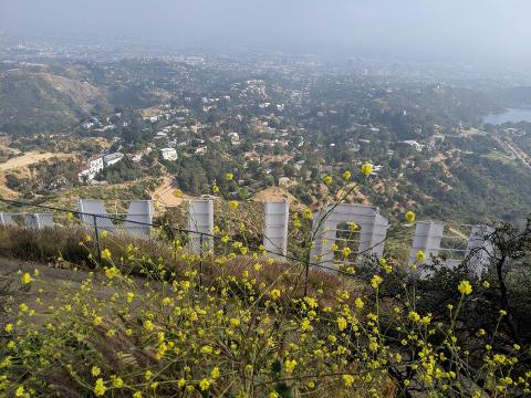 Private Hike to Hollywood Sign, via Three Peaks