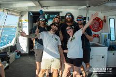 Volunteer for a week on our Whaleshark or Humpback Whale Tours!  