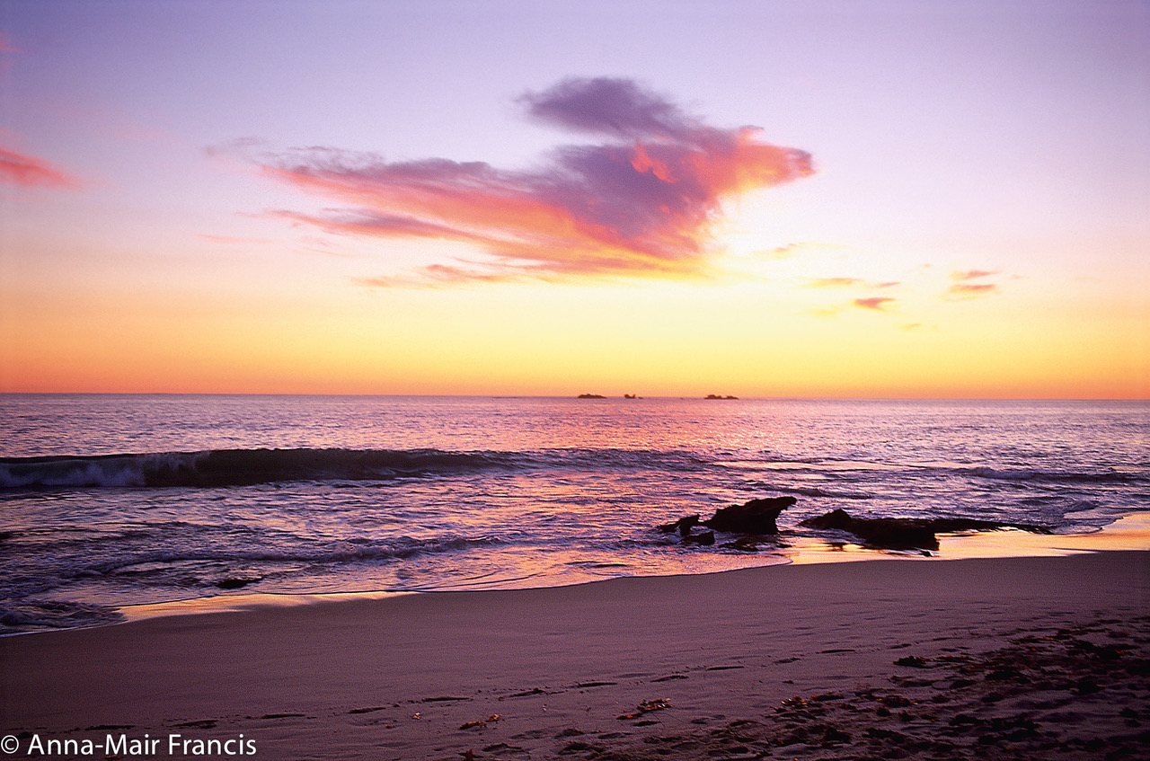 Photographing Australian animals, seascapes and sunsets