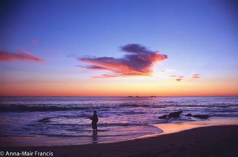 Australian animals, seascapes 