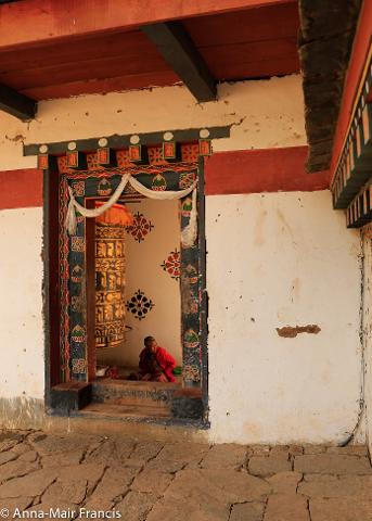 34f8052e9987442d934c116988c4eac3_T3A8658