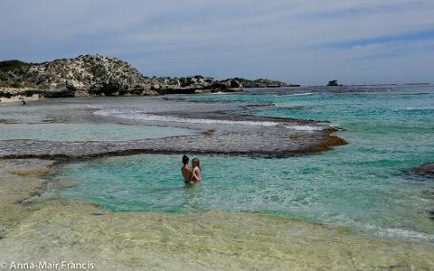 Private Rottnest Photographic Day Tour without Ferry