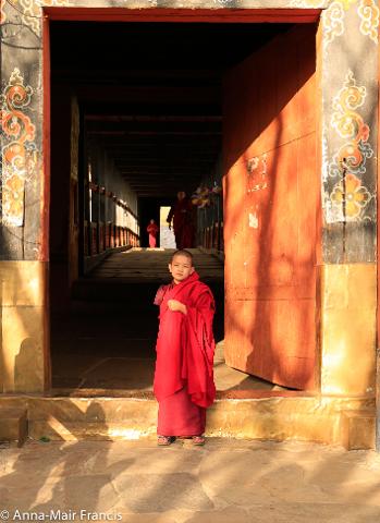 5b84a25439d34e5e972df2bc9c5f86bb_T3A8303