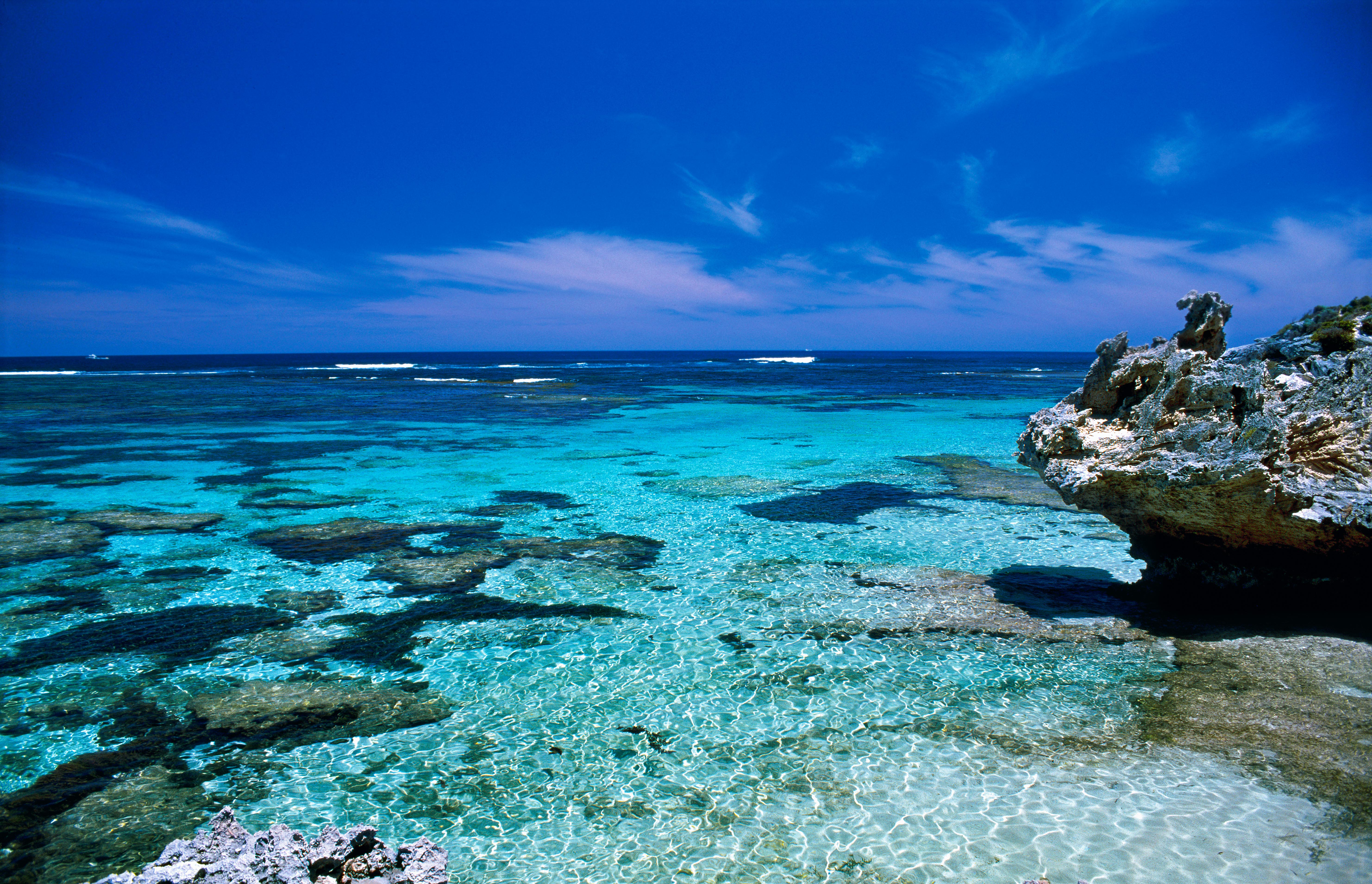 Private Rottnest Photographic Day Tour with Ferry