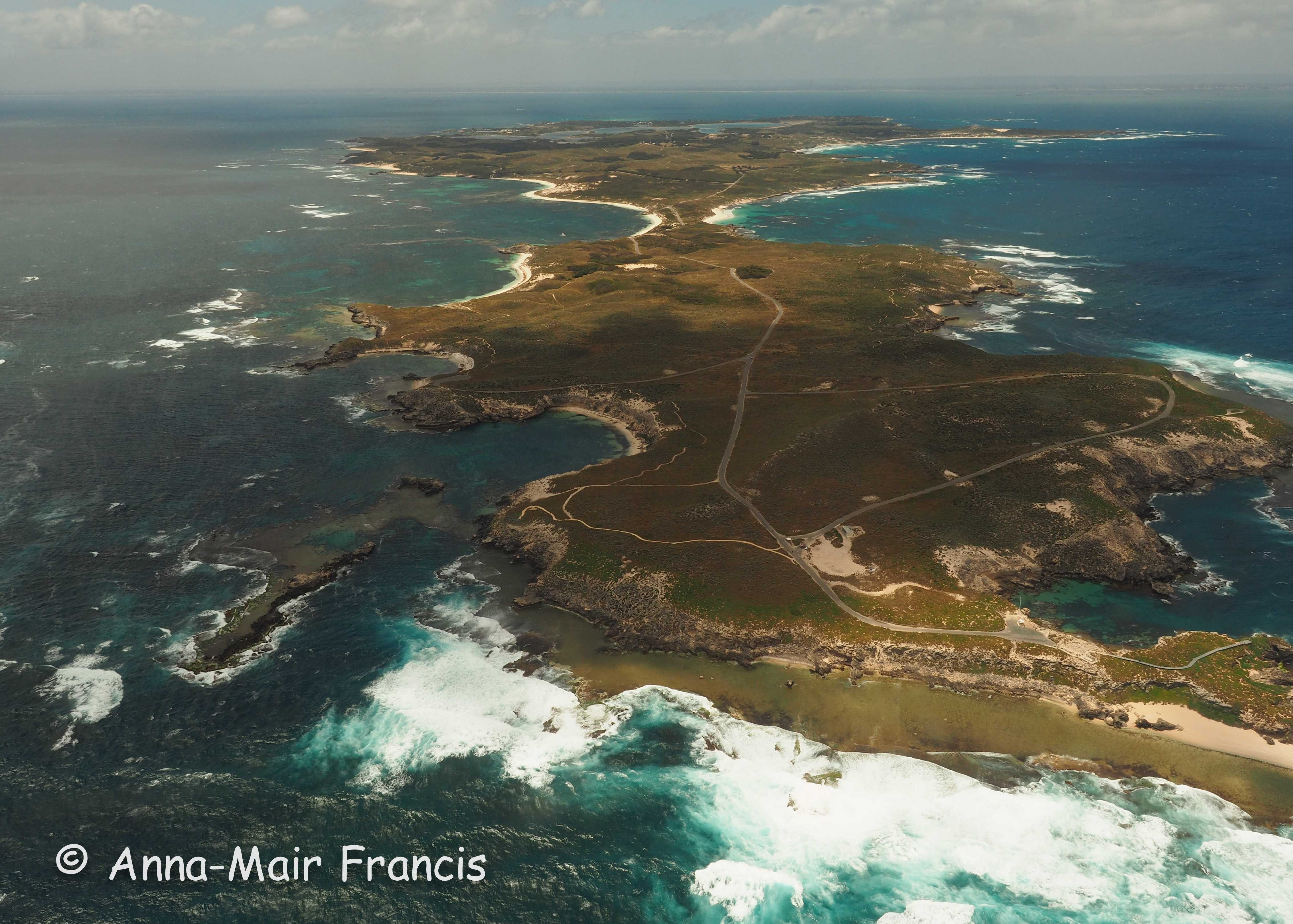 Private Rottnest Photographic Day Tour with Ferry