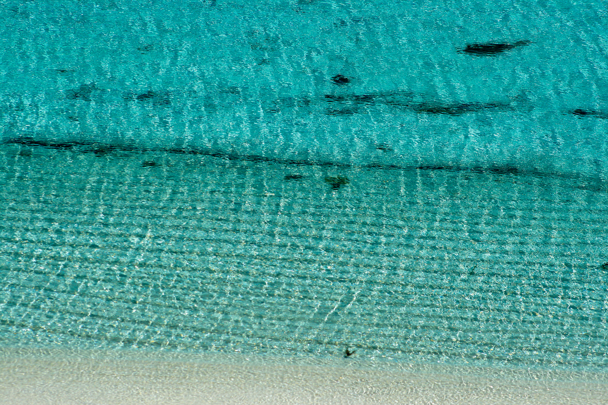 Glamping Rottnest 3 day Workshop