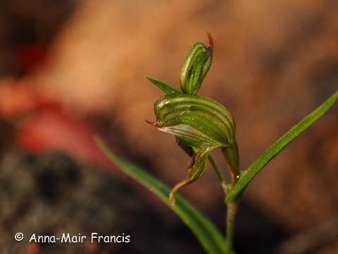 P7170402_MG_9745.jpg