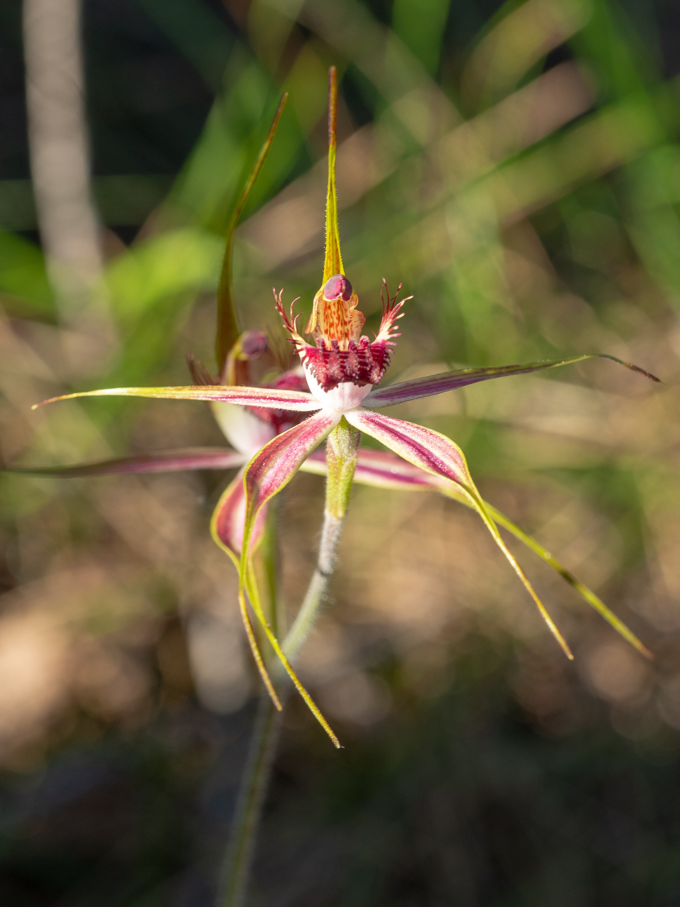Wave Rock 3 Day/ 2 Night Photographic Tour