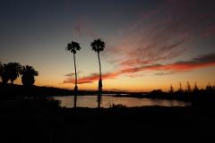 Sunset Photographic Session