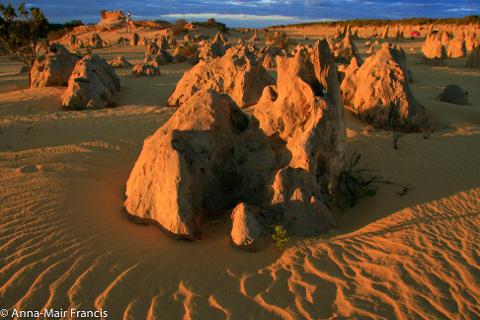 Private Photographic Day Tour of Yanchep and Pinnacles National Parks