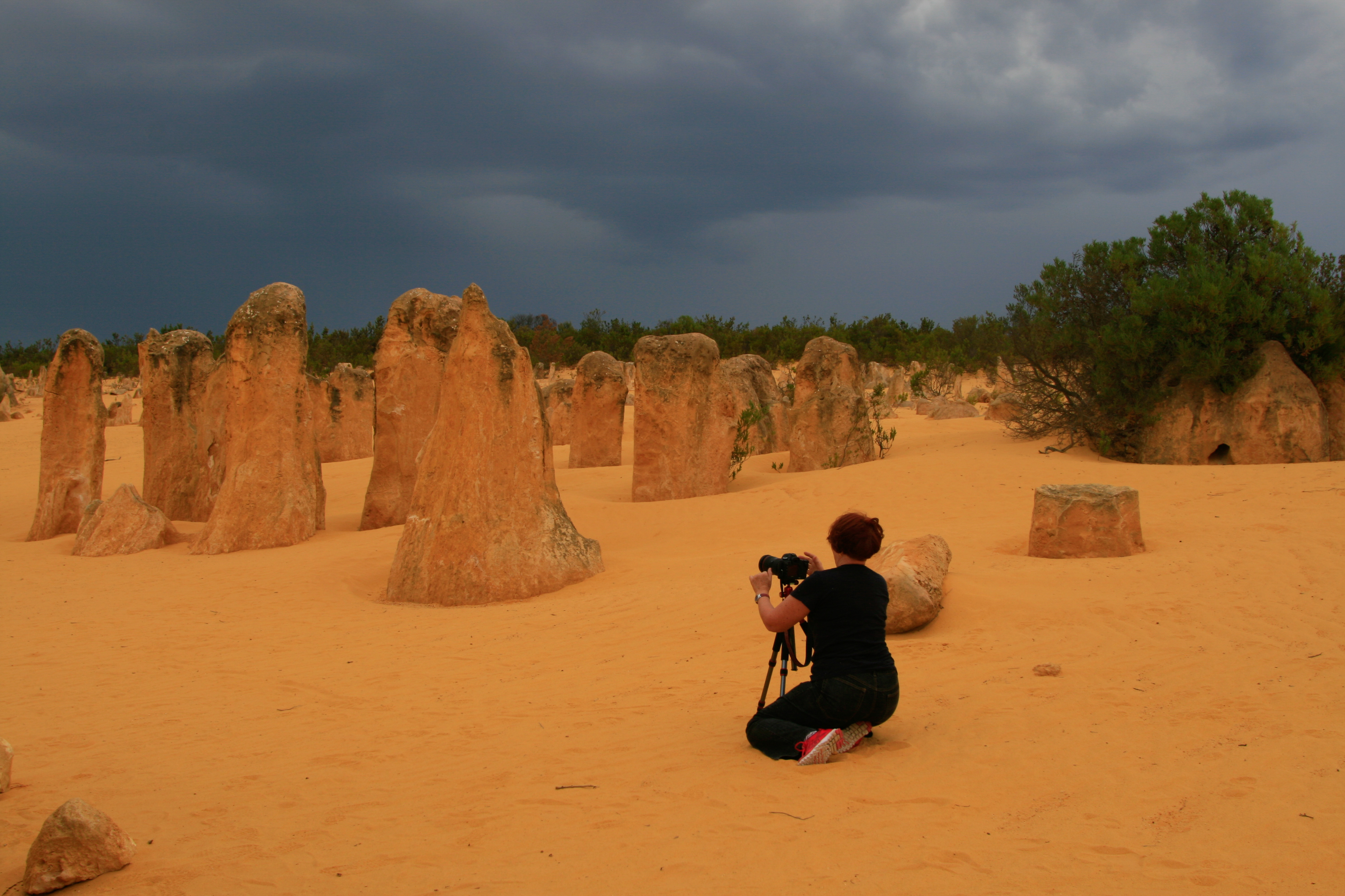 Pinnacles, Sunset and Night Sky Photography Private Day Tour