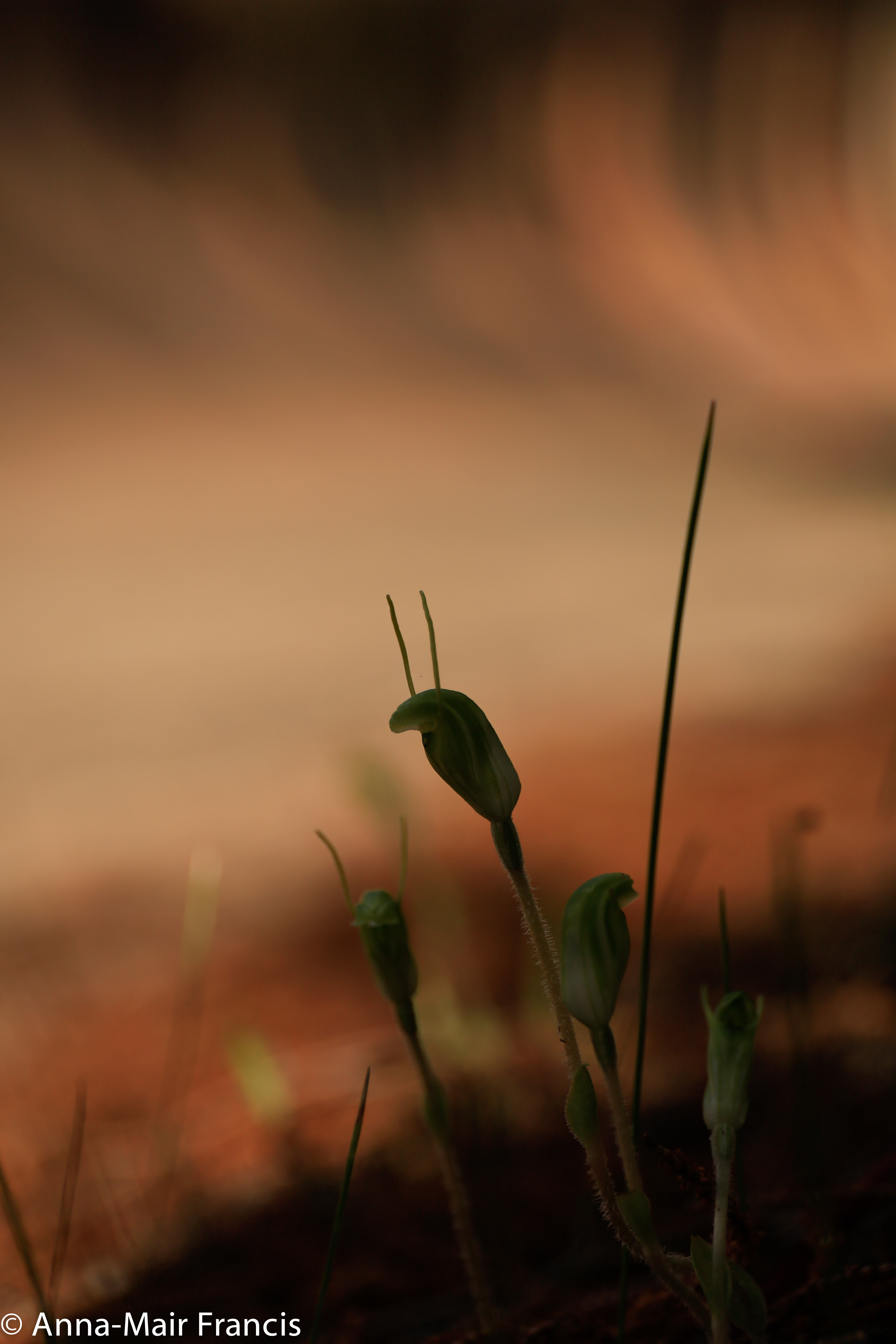 Wave Rock 3 Day/ 2 Night Photographic Tour