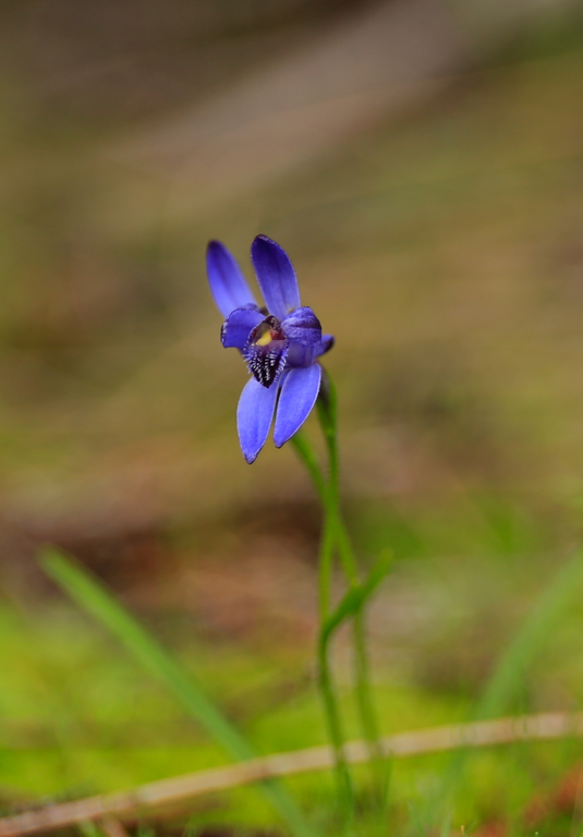 Wave Rock 3 Day/ 2 Night Photographic Tour