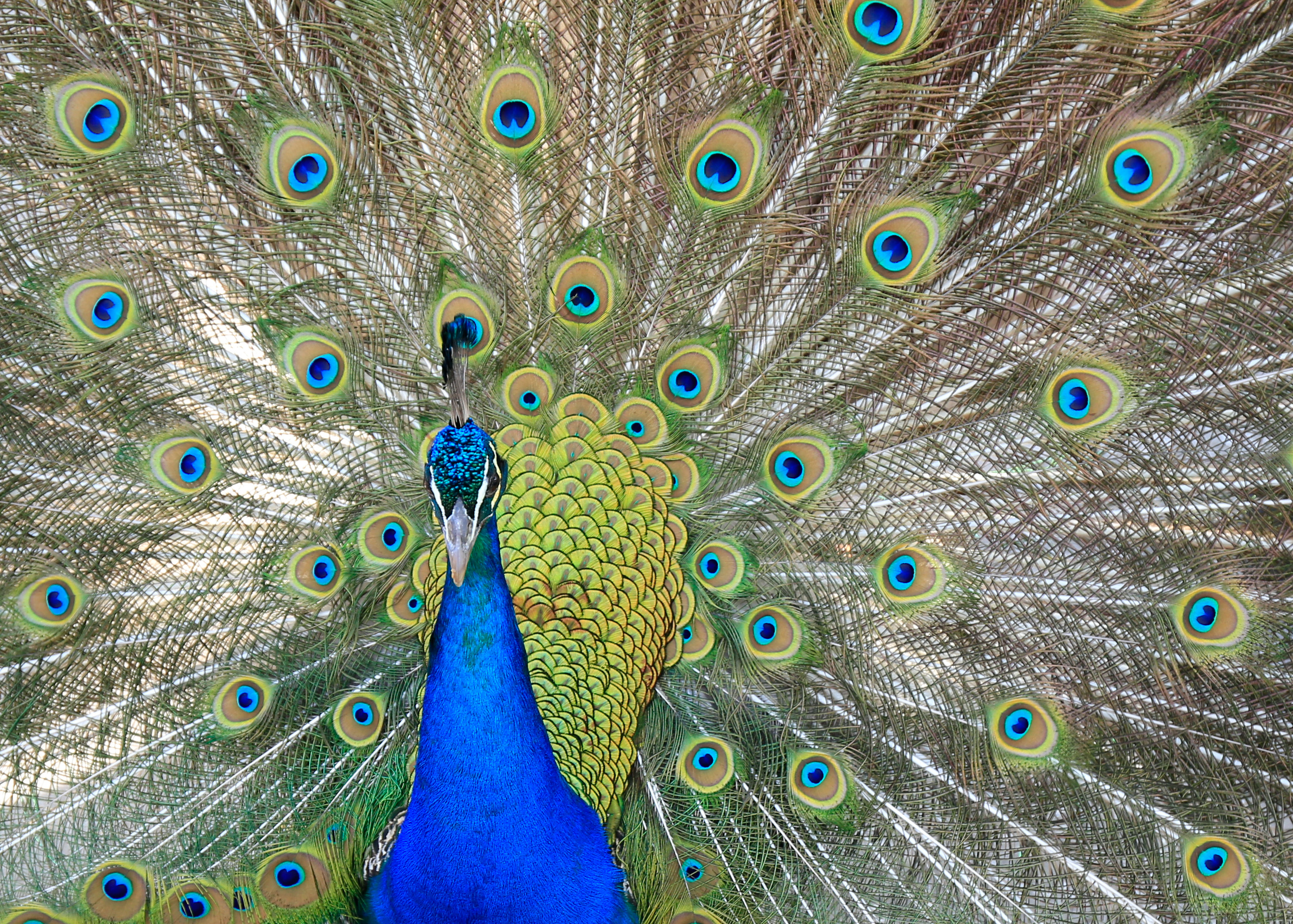 Glamping Rottnest 3 day Workshop