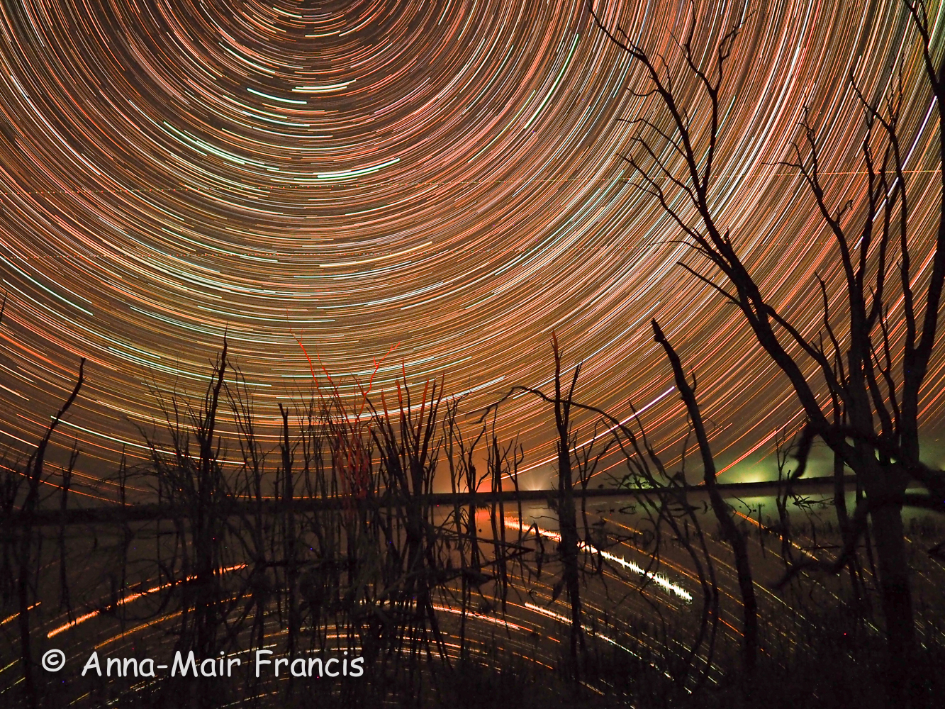 Quairading/ Wave Rock 3 Day Astro and Wildflowers Photographic Tour
