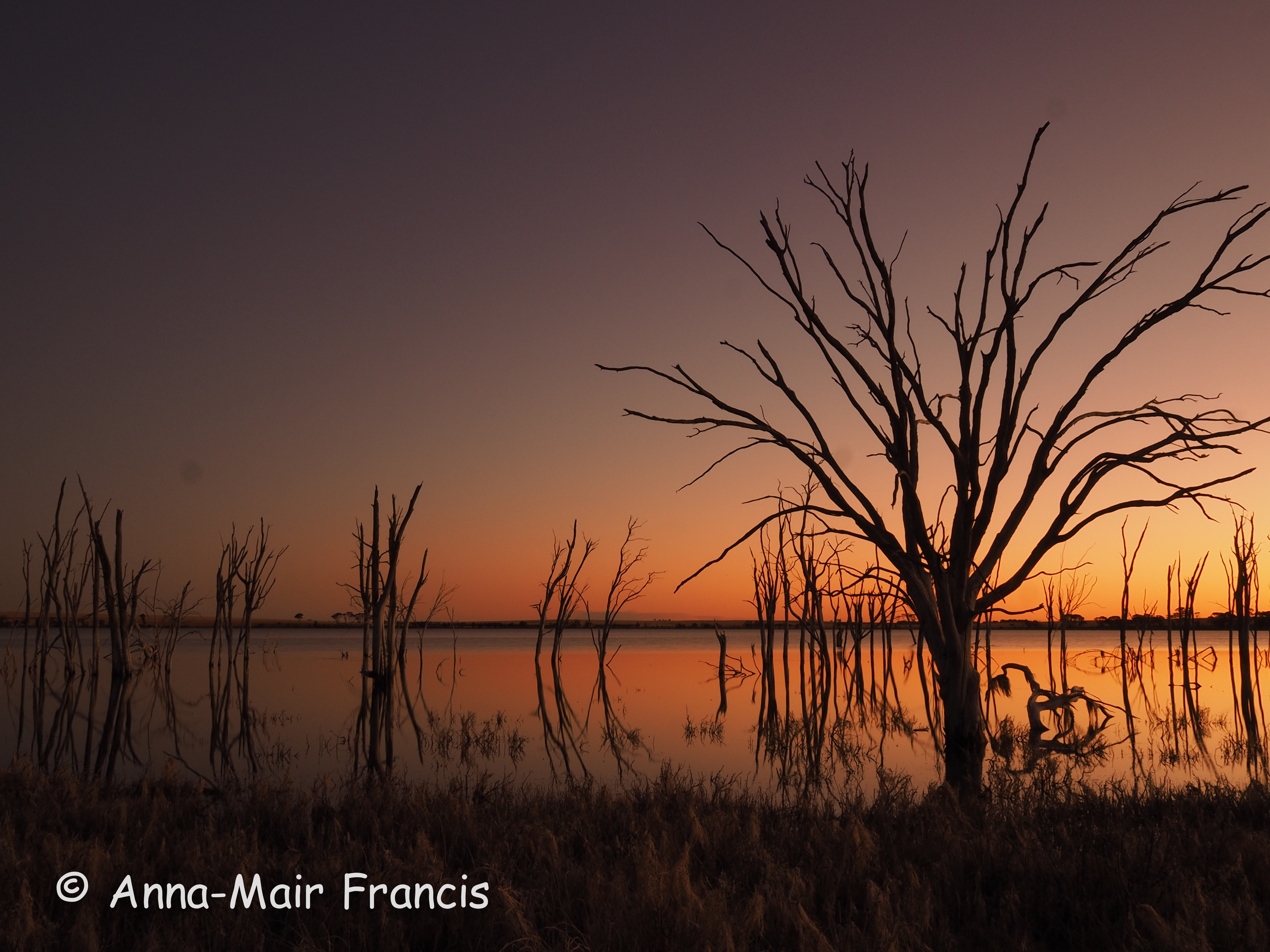 Quairading/ Wave Rock 3 Day Astro and Wildflowers Photographic Tour