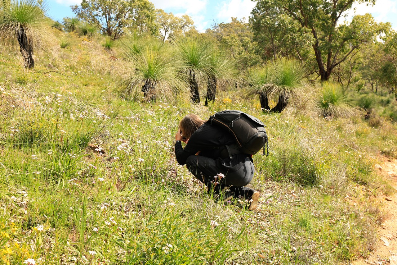 Amazing Wild Flowers of Western Australia 4 Day Tour
