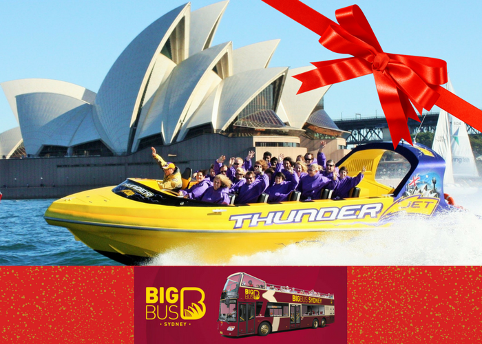 Big Bus Sightseeing (24hrs) & Thunder Thrill Gift Card