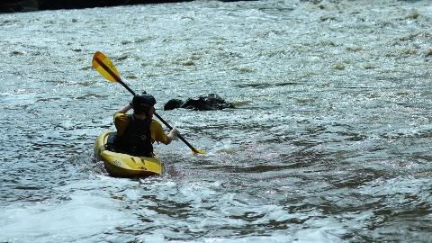 White Water Kayak Course (1 Day)