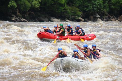 Rafting fonce River (Class II & III) 