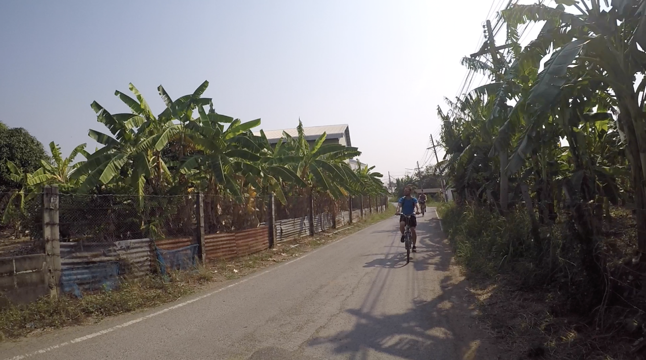 Colors of Ayutthaya - PRIVATE cycling through the suburbs of the ancient capital and through the historical park