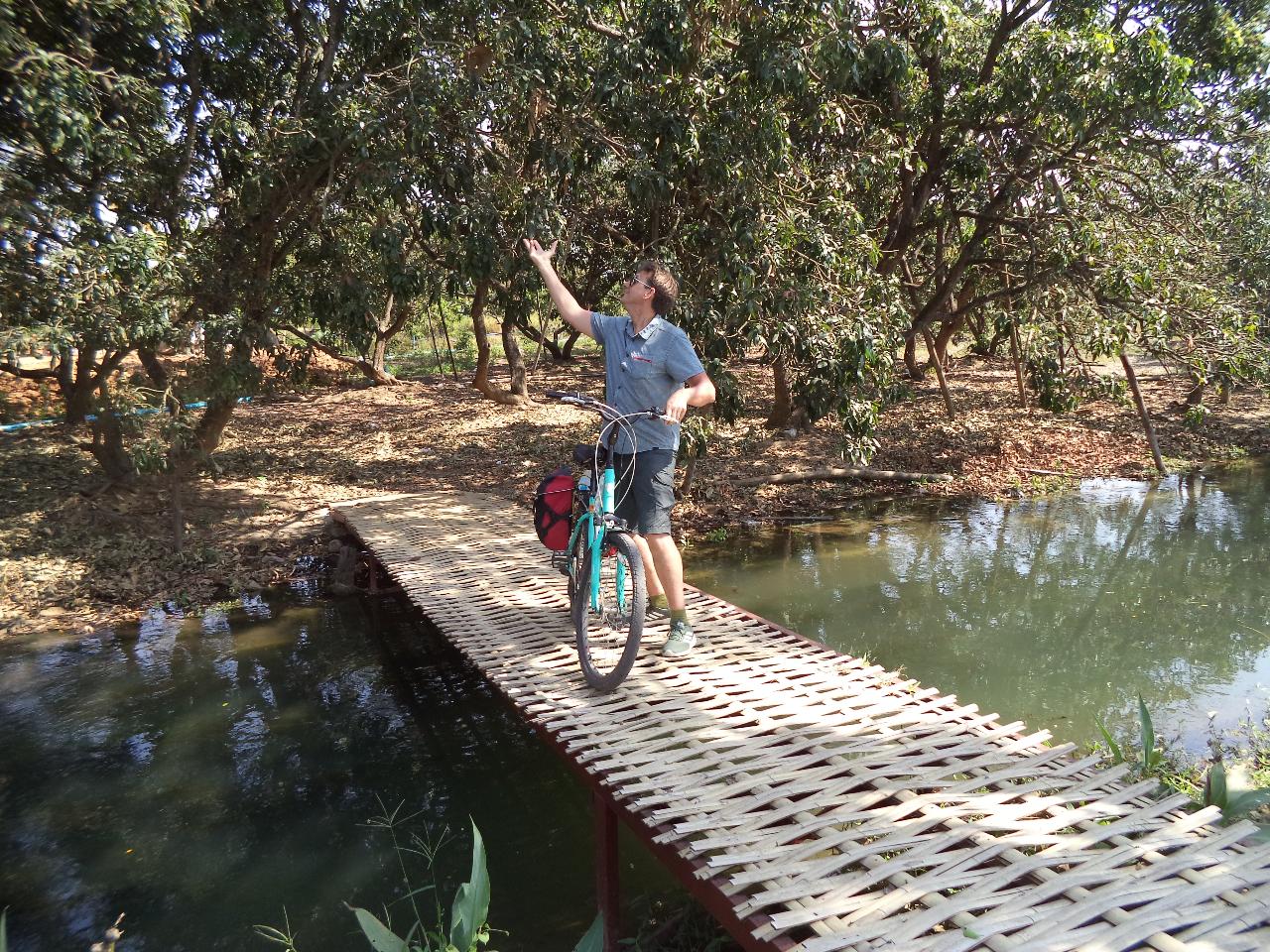 Secrets of Lamphun - An unforgettable PRIVATE cycling excursion over peaceful country roads through Lamphun province